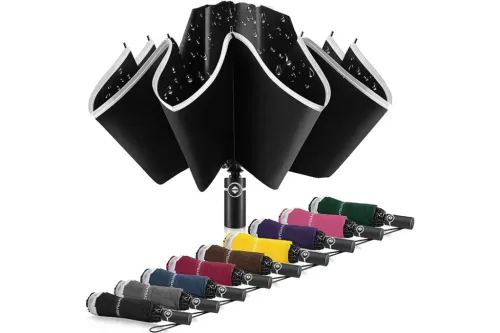 Bodyguard Windproof Travel Umbrella in several colors